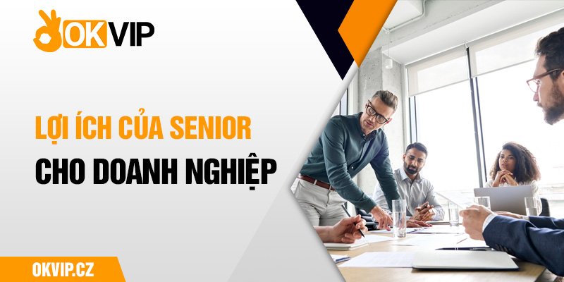 Lợi ích của senior cho doanh nghiệp