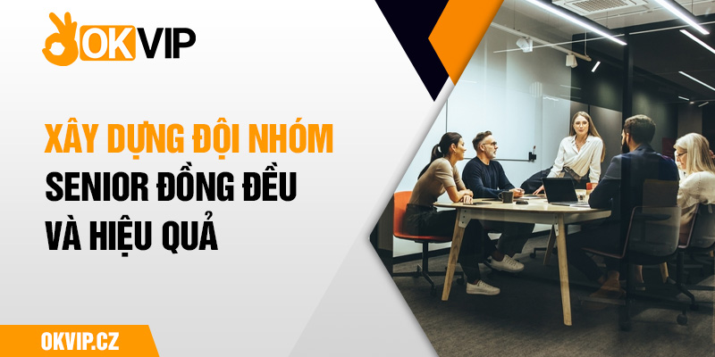 Xây dựng đội nhóm senior hiệu quả