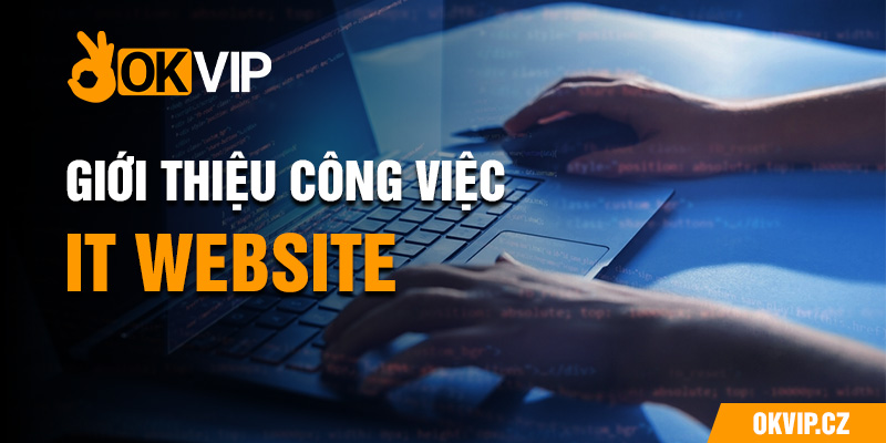 Giới thiệu công việc IT WEB 