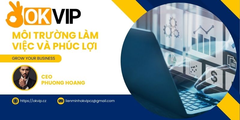 Môi trường làm việc và phúc lợi tại OKVIP