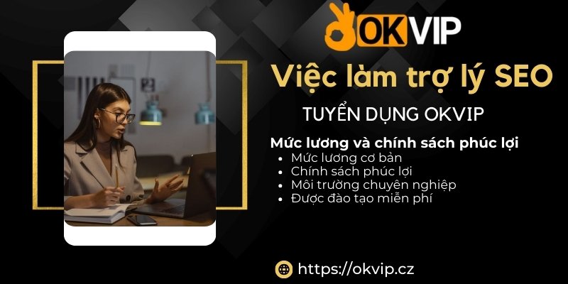 Mức lương và chính sách phúc lợi việc làm Trợ Lý SEO